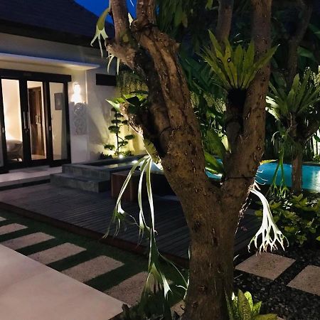Villa Apanya Sanur Екстер'єр фото